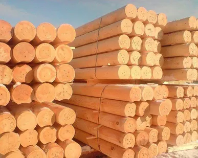 фото Бревно оцилиндрованное лиственница D 180-280, L=6м