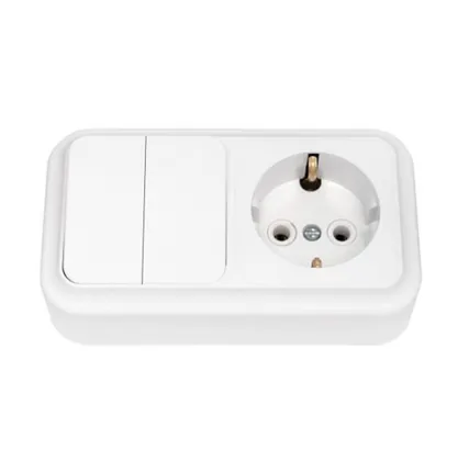 Фото №0 СВЕТОПРИБОР Блок Пралеска 2 клав.выкл+розетка з/к ОУ белый 250В 2В-РЦ-529 СВЕТОПРИБОР