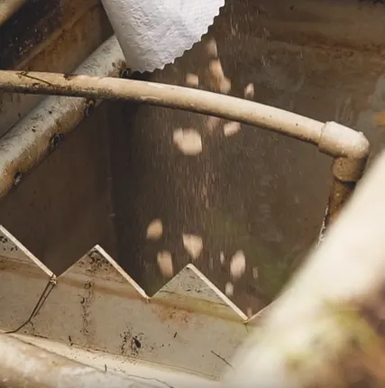 Фото №0 Обслуживание септиков Биодека, Юбас, ЭкоГранд, Тополь, Аквалос, АльтаБио