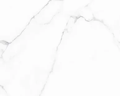 фото Плитка напольная (600х600х9) Carrara GFU04CRR00R (ALMA CERAMICA)