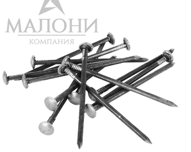 фото Гвозди шиферные с зав. шл. 5,0х120, 1шт.