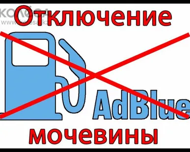 фото отключение мочевины scr,Egr, AdBlue