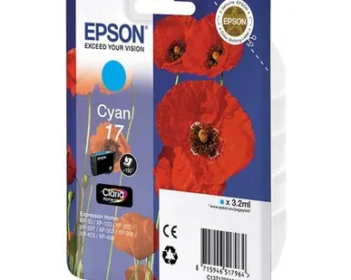 фото Картридж Epson C13T17024A10