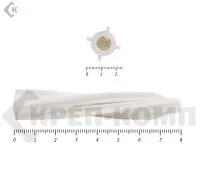 Фото №0 Дюбель пластиковый, для газобетона 14х80 (100шт)