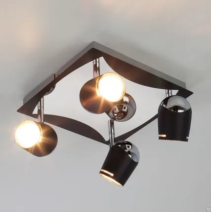 Фото №0 Потолочный светильник с поворотными плафонами 20057/4