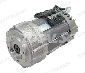 фото Электродвигатель движения Hangcha CPD10-18J