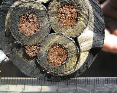 фото Кабель КГЭ; КГЭхл 3х35+1х10