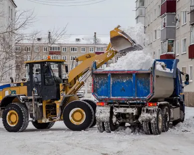 фото вывоз снега