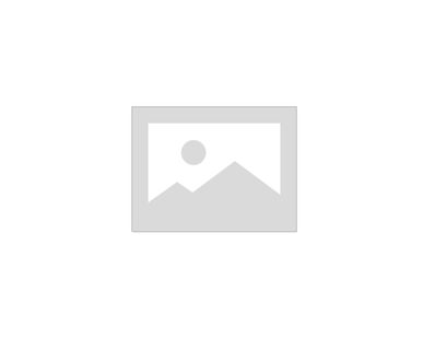 фото Гидрокомпенсатор FIAT DOBLO 1.3JTD/DUCATO (250) 2.0D 420 0181 10
