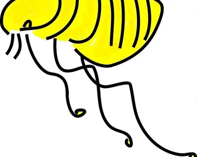 фото Дезинсекция общественных мест от блох