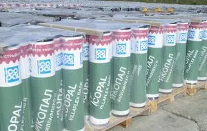 фото Икопал Н