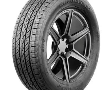 фото Автомобильная шина Antares