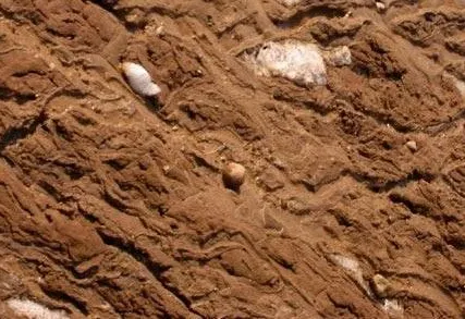 Фото №0 Глина с доставкой