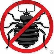 Фото №0 Обработка от клопов