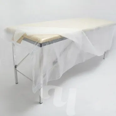 Фото №0 Простыня полиэтилен 25 мкр прозрачный 200*160 25 шт/уп Чистовье