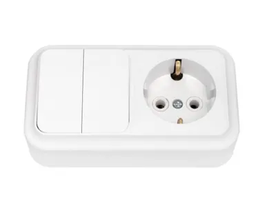 фото СВЕТОПРИБОР Блок Пралеска 2 клав.выкл+розетка з/к ОУ белый 250В 2В-РЦ-529 СВЕТОПРИБОР