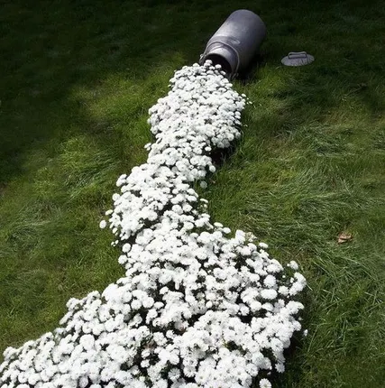 Фото №0 Устройство
 сухого ручья шириной до 0,5 м, цветочного