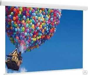 фото Экран Thor Electric HDTV (16:9) 361/142" 177*315 XT1000E