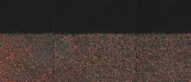 фото Коньково-карнизная черепица Docke Зрелый каштан (22 / 11 м. пог)