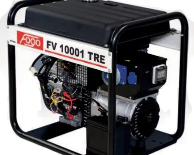 фото Бензиновый генератор Fogo FV10001TRE