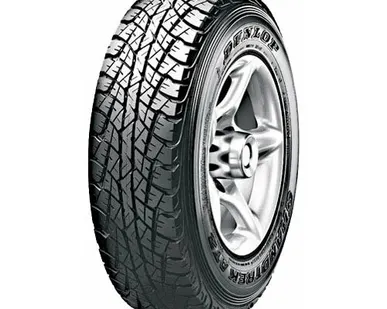 фото Автомобильная шина Dunlop