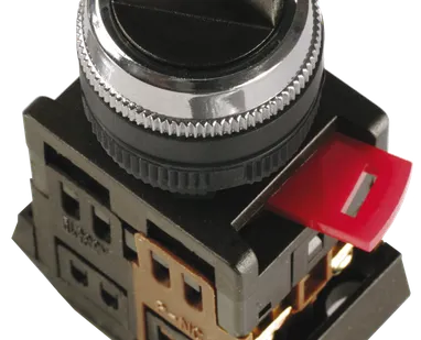 фото Переключатель АС-22 на 2 фиксир.положения I-O 1з+1р ИЭК