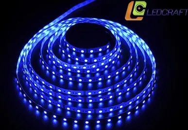 фото Светодиодная лента LC-5050-24BL60 14,4 Ватт/м IP33 синий