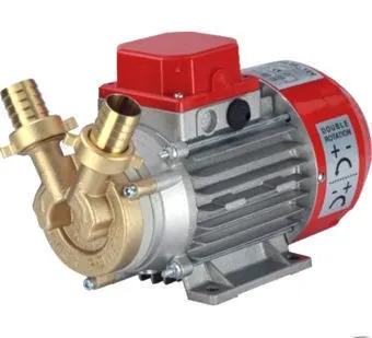 фото Насос самовсасывающий Rover pompe MARINA 25 12V (вода, топливо, антифризы)