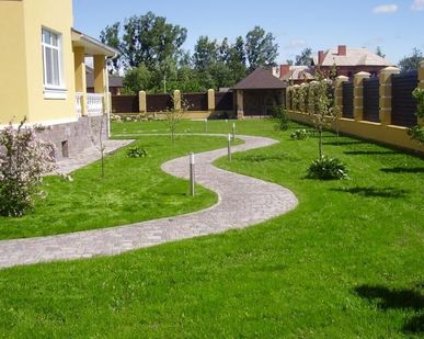 фото Устройство газона