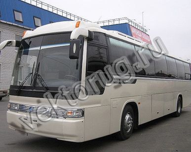 фото Автобус перевозка