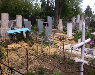 фото Спил дерева на кладбище