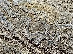 фото Песчаник арт.10-1