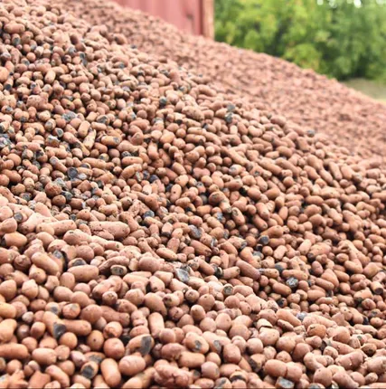 Фото №0 Керамзит