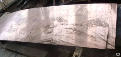 Фото №0 Лента бронзовая Брб2