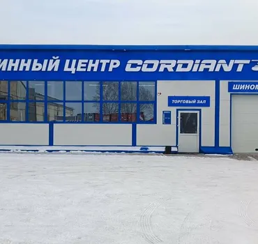 Автошина Cordiant Professional