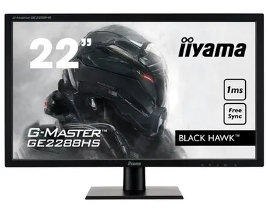 фото Монитор Iiyama G-Master