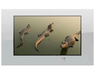 фото Телевизор AquaView 42 Smart TV