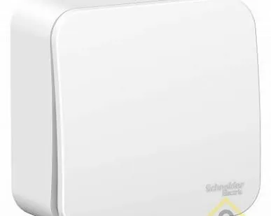 фото Выключатель 2-кл.10А ОП BLANCA изолир.пластина бел. SchE BLNVA105011