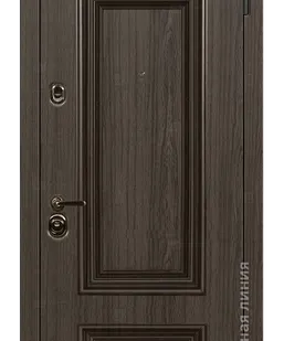 фото Входная дверь Поло POLO.M100M.1