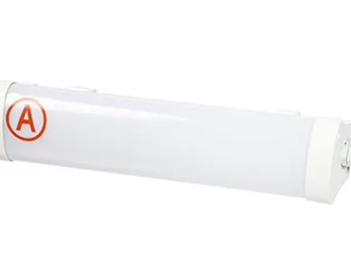 фото Накладной аварийный светильник для ЖКХ ZHS-NIP-65-A3-10