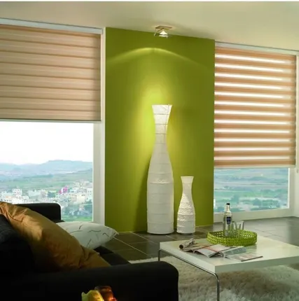 Фото №0 Чистка Рулонных штор зебра (день-ночь)