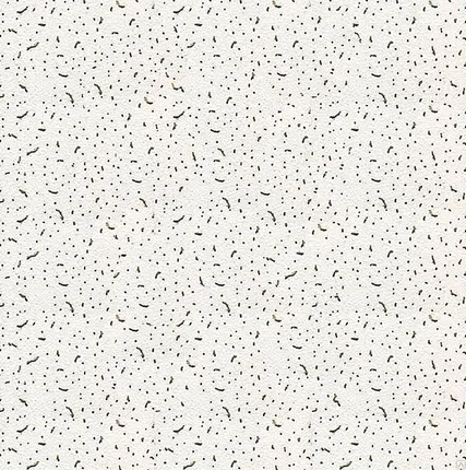 Фото №0 Потолочная плита Байкал  600x600x12 (BAJKAL board) Армстронг