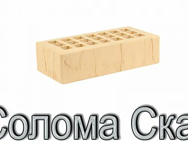 фото Кирпич КР-л-пу 250х120х65/1НФ/200/1,4/100 200 соломенный Скала