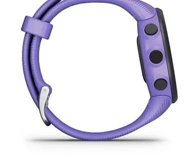 фото Часы Garmin Forerunner 45S ирис