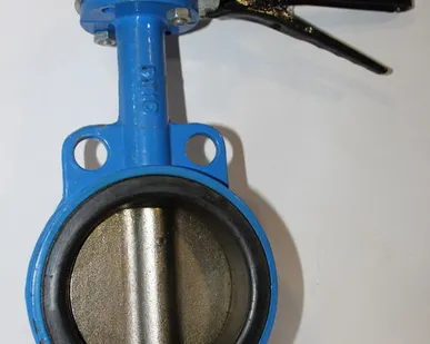 фото Затвор дисковый поворотный, Ру16 Ду 125