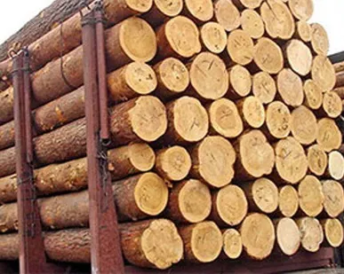 фото Кругляк пиловочник, ель, d 18-54 см, длина 6 м, гост 8486.86