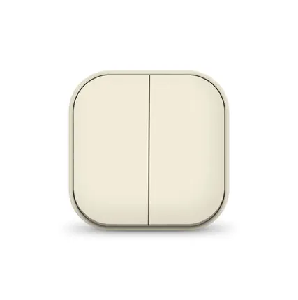 Фото №0 Выключатель 2-кл. 1п ОП 10А IP20 сл. кость IONICH 1425