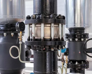 фото Клапан обратный межфланцевый AISI 316 Ду32 Ру25