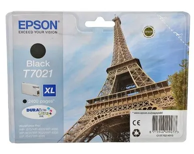 фото Картридж Epson C13T70214010