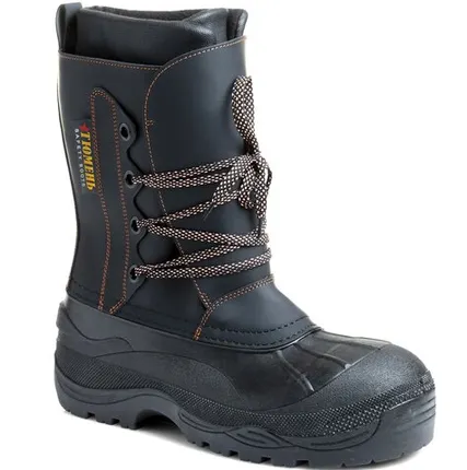 Фото №0 Сапоги зимние «Тюмень» (ТХ)